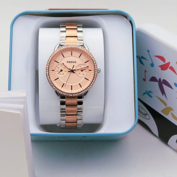 Fossil Tailor's Collection - Image 2