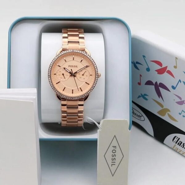 Fossil Tailor's Collection - Image 4
